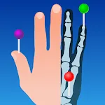 e-Anatomy | Indus Appstore | App Icon