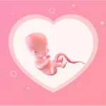 Pregnancy Tracker & Baby Guide | Indus Appstore | App Icon