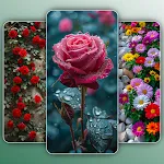 Flower Wallpapers 4K | Indus Appstore | App Icon